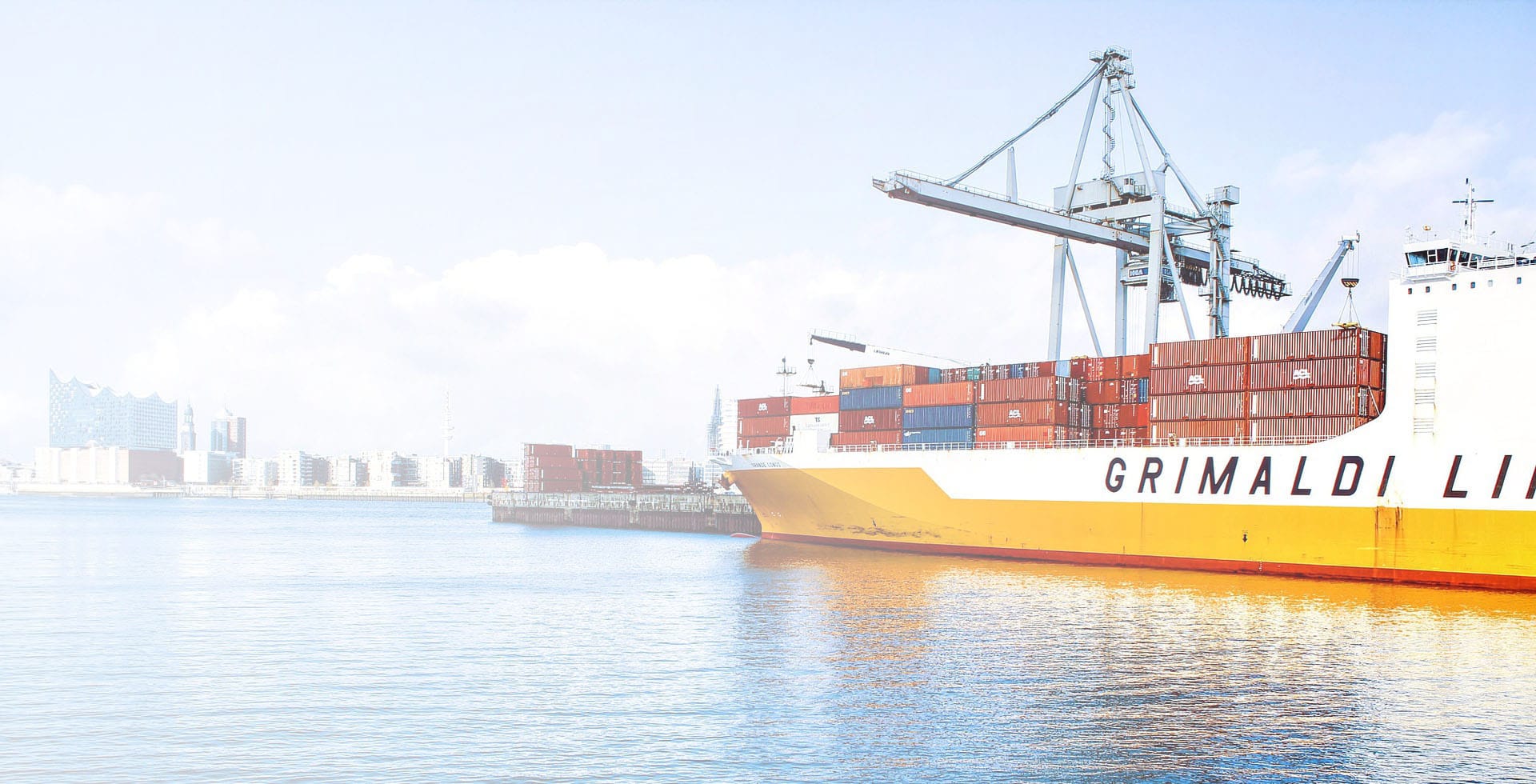 Export Dealer